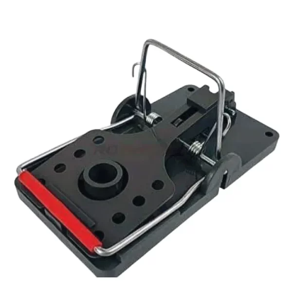 [GB02T00025] سناب تراب