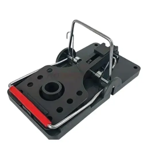 [GB02T00025] سناب تراب